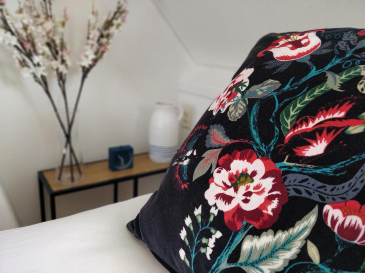 Appartementen Dorp & Duin إغموند آن زي المظهر الخارجي الصورة
