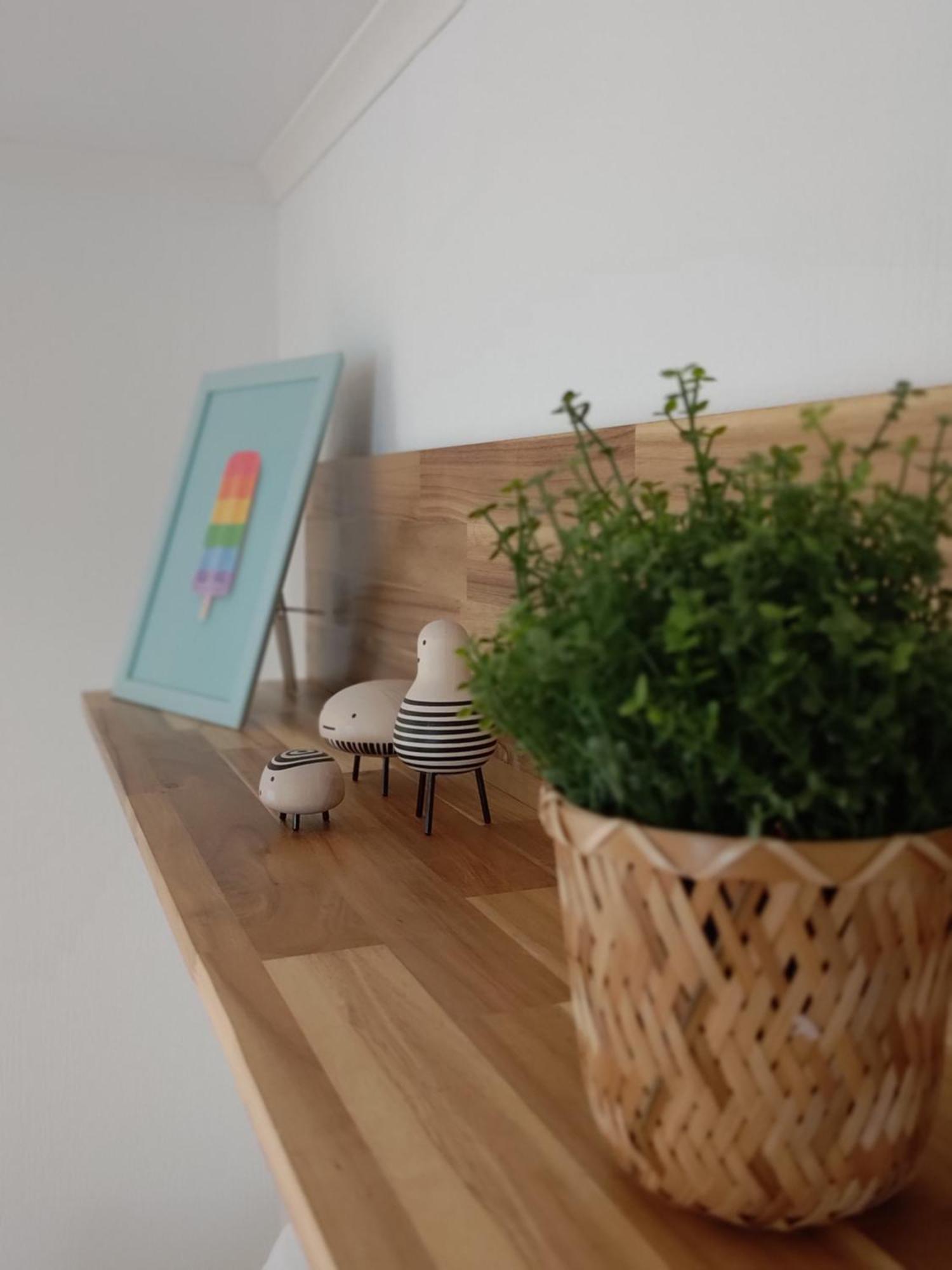 Appartementen Dorp & Duin إغموند آن زي المظهر الخارجي الصورة