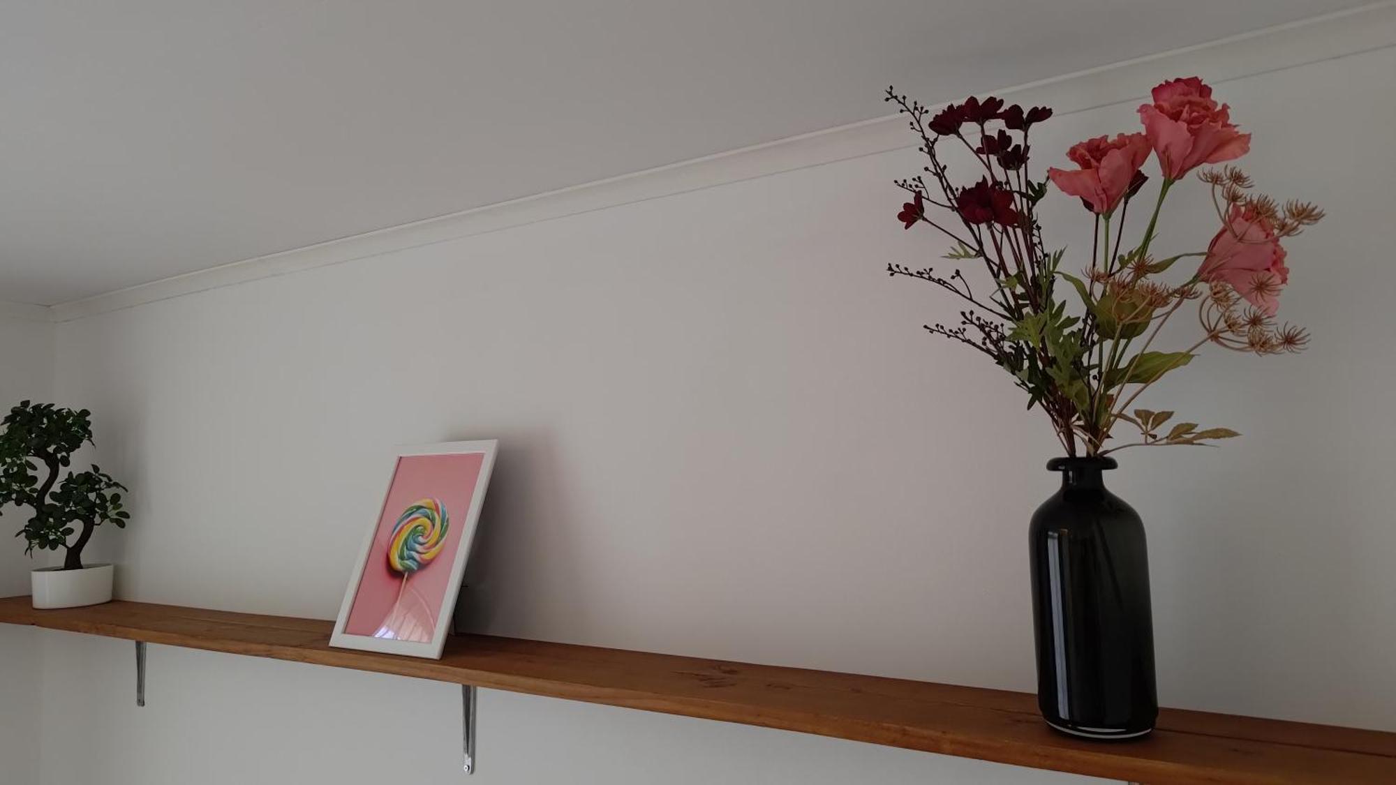 Appartementen Dorp & Duin إغموند آن زي المظهر الخارجي الصورة